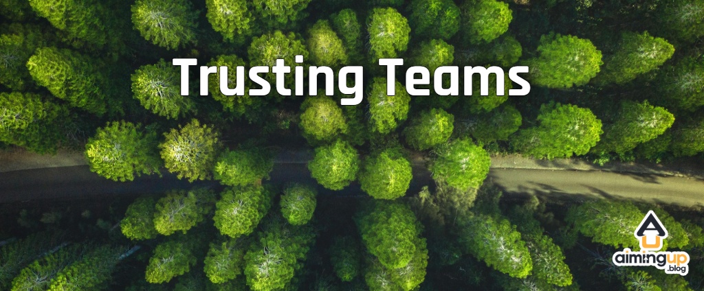 Drone view of a forest