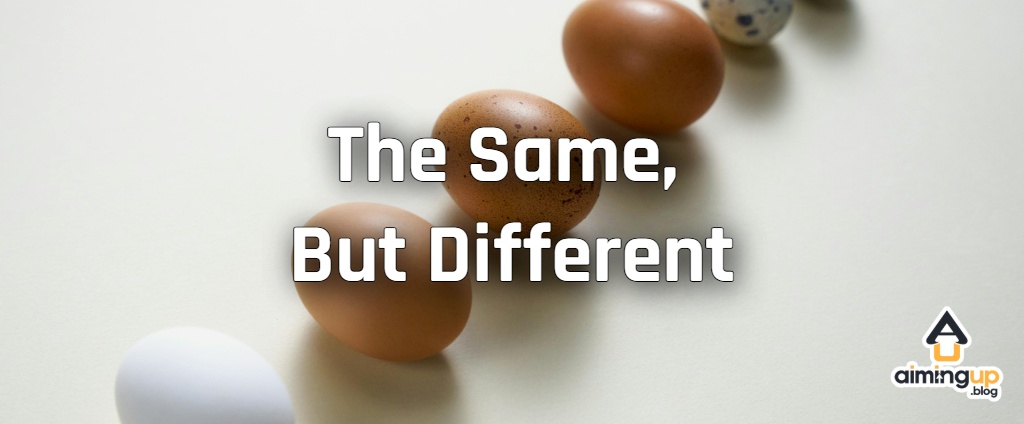 A variety of different types of eggs in a row